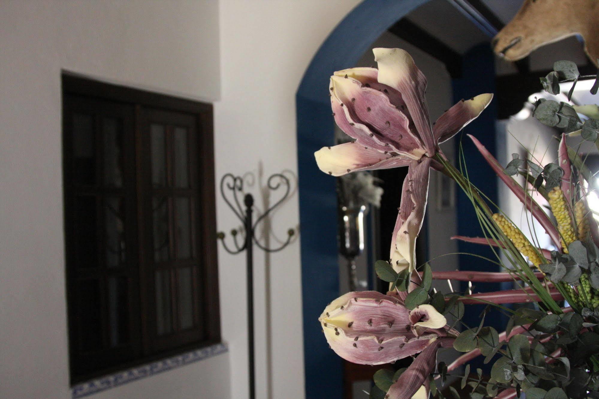 Casa Rural El Sombrero El Rocío Εξωτερικό φωτογραφία